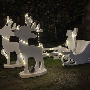 Sania lui Moș Crăciun cu Rudolf